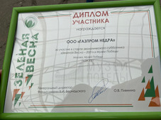 Участники старта экологического субботника получили памятные дипломы