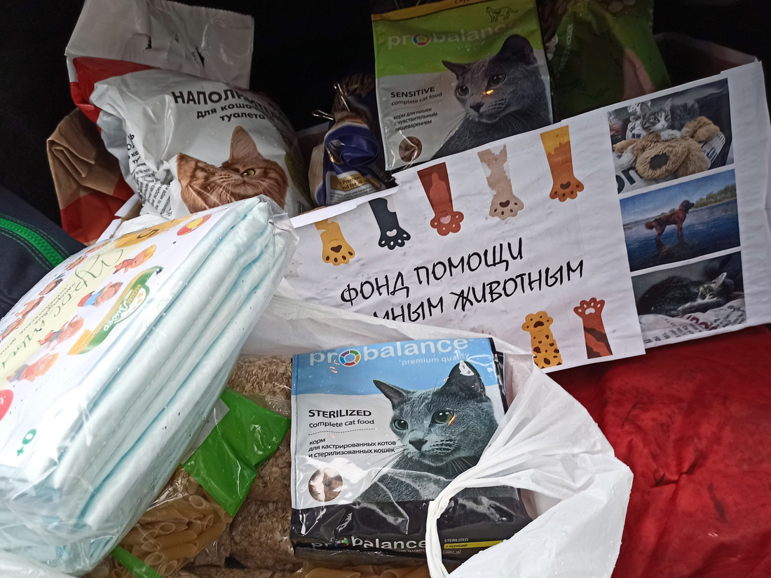 50 кг корма и предметов первой необходимости собрали для приюта бездомных животных сотрудники из Красноярска