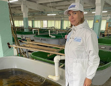 Ведущий специалист отдела охраны окружающей среды Наталья Тюрина контролирует выпуск семги в Карелии