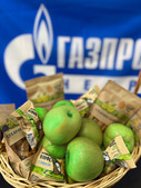 Зеленое яблоко — традиционный символ Дня эколога в ООО «Газпром недра»